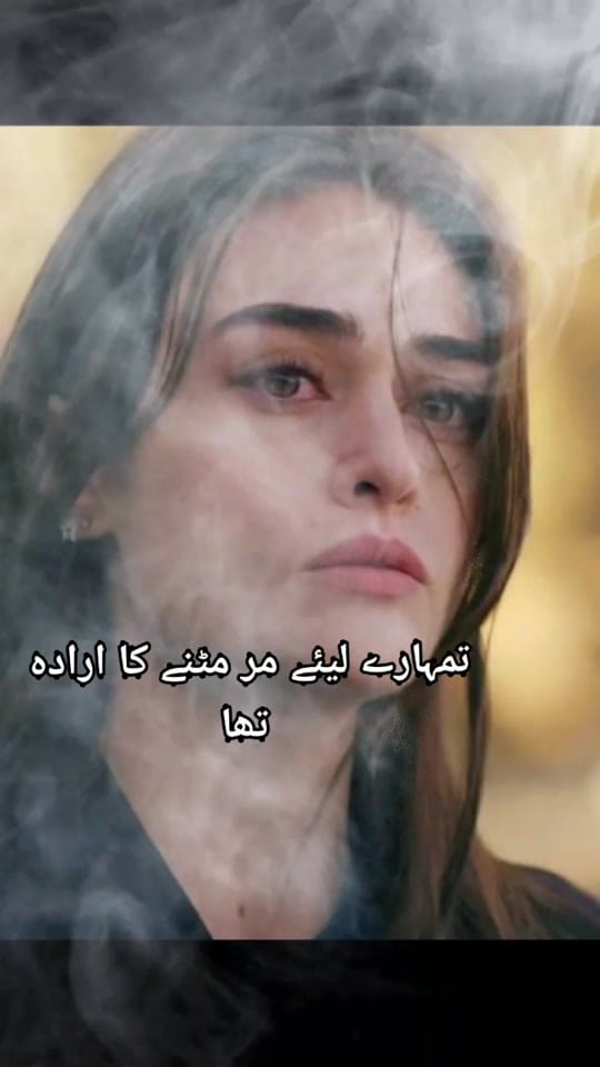 Post 5 by Halima_sultan70🌺💐 on TikTok (video)