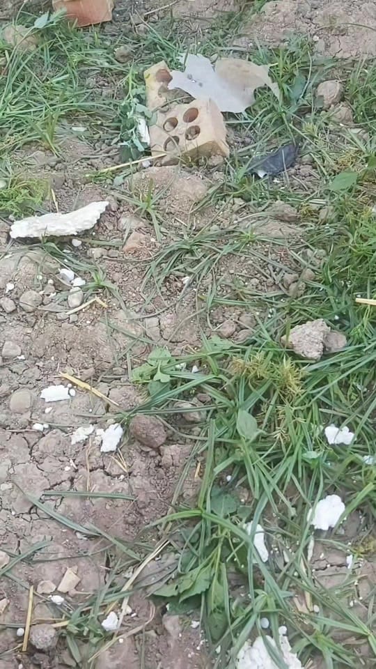 Post 5 by chicken.and._.friends on TikTok (video)