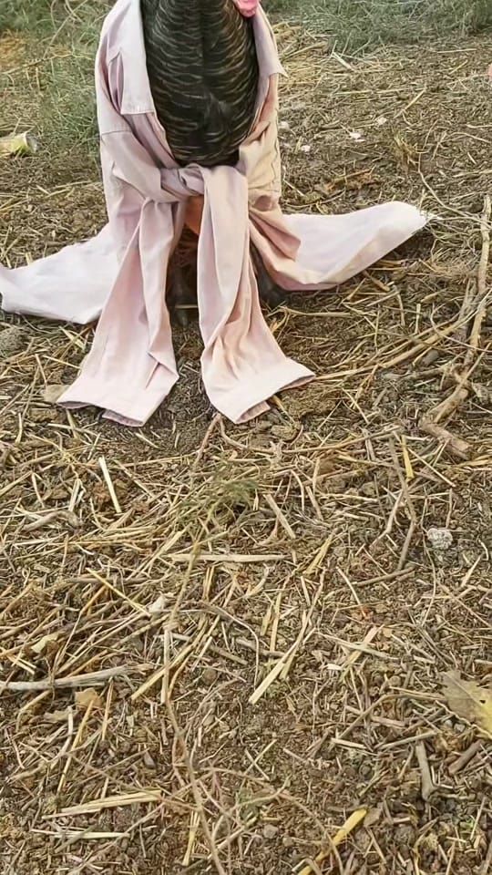 Post 1 by chicken.and._.friends on TikTok (video)