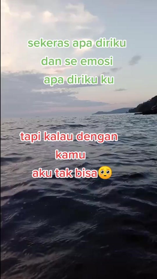 Post 7 by 𝐌𝐀𝐋𝐅𝐄𝐍🌹20/12/19 on TikTok (video)