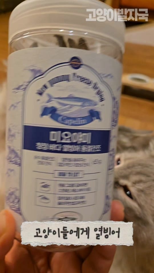 Post 1 by 고양이발자국 on TikTok (video)