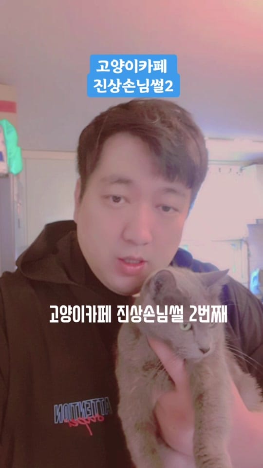 Post 10 by 고양이발자국 on TikTok (video)