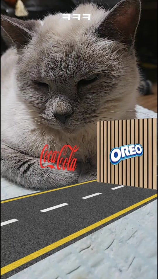 Post 4 by 고양이발자국 on TikTok (video)
