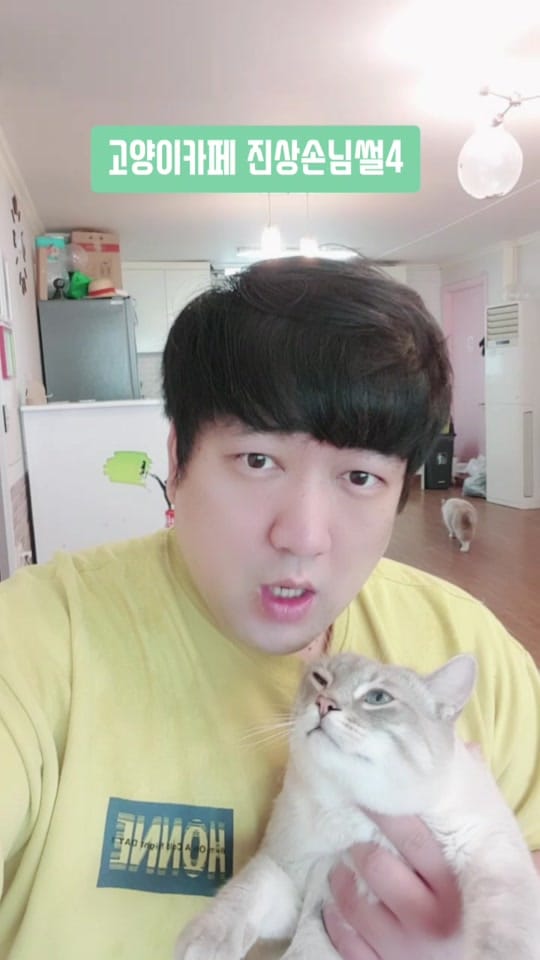 Post 9 by 고양이발자국 on TikTok (video)