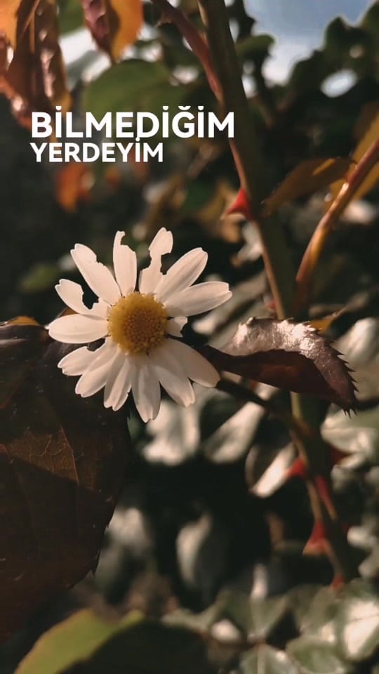 Post 9 by benim.kadrajdan on TikTok (video)