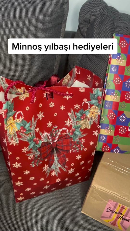 Post 4 by Ayşenur Bayar on TikTok (video)