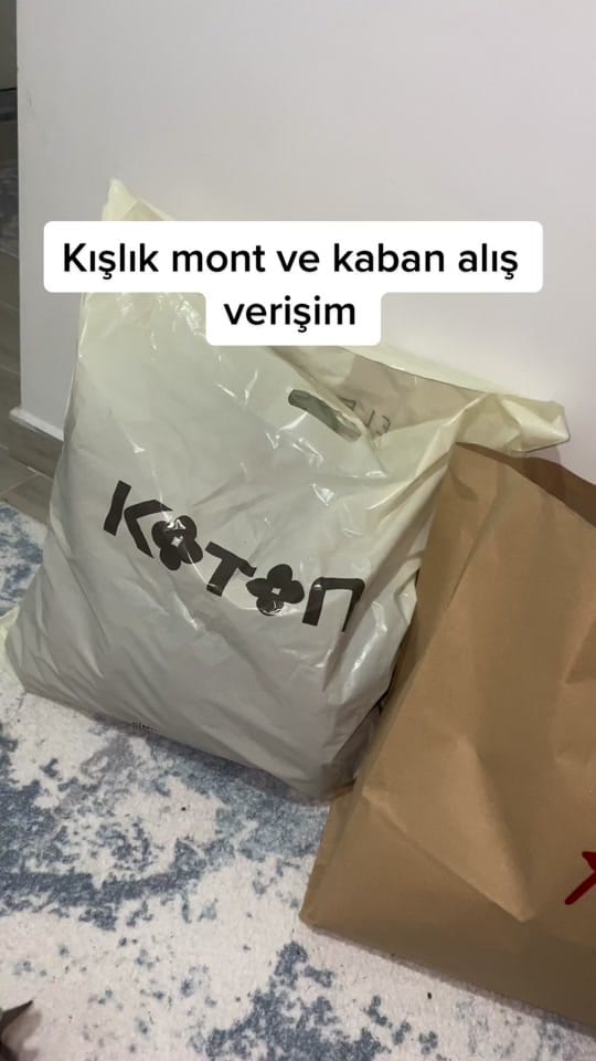 Post 6 by Ayşenur Bayar on TikTok (video)