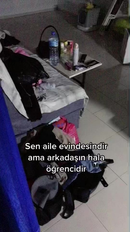 Post 7 by Ayşenur Bayar on TikTok (video)