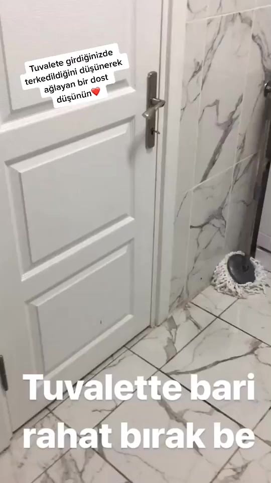 Post 4 by Λ Ꮢ E Ƨ on TikTok (video)
