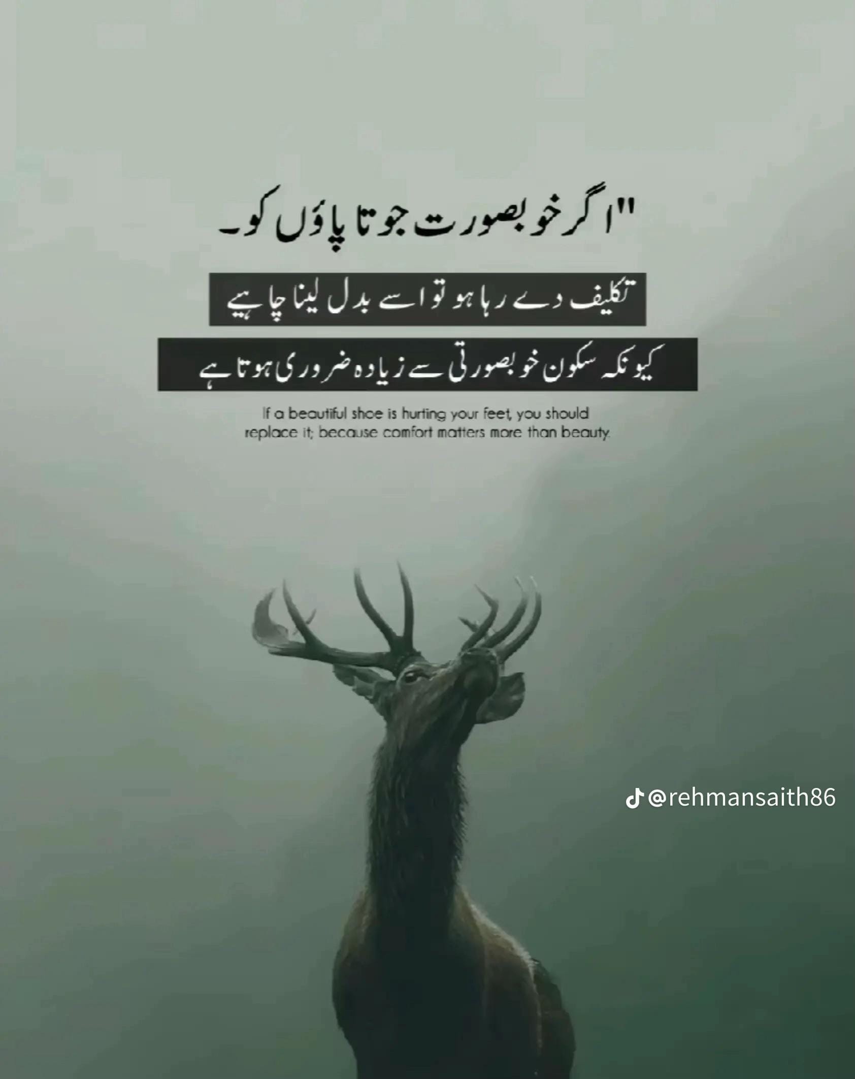 Post 4 by AMNA KHAN FITNESS on TikTok (video)