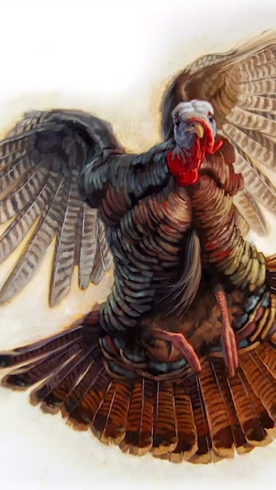 Post 7 by Ryan Kirby Art on TikTok (video)
