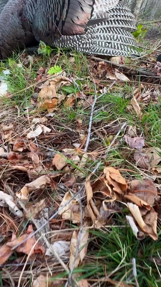 Post 4 by Ryan Kirby Art on TikTok (video)