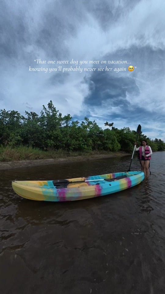 Post 3 by Cas on TikTok (video)