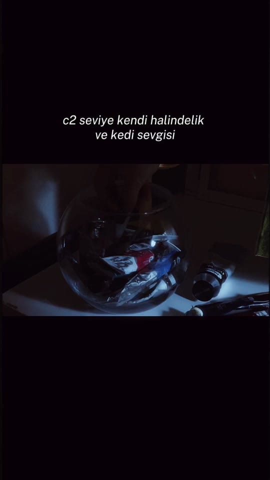 Post 10 by ky art on TikTok (video)