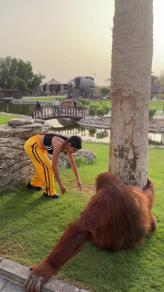 Post 7 by Joudi nasri on TikTok (video)