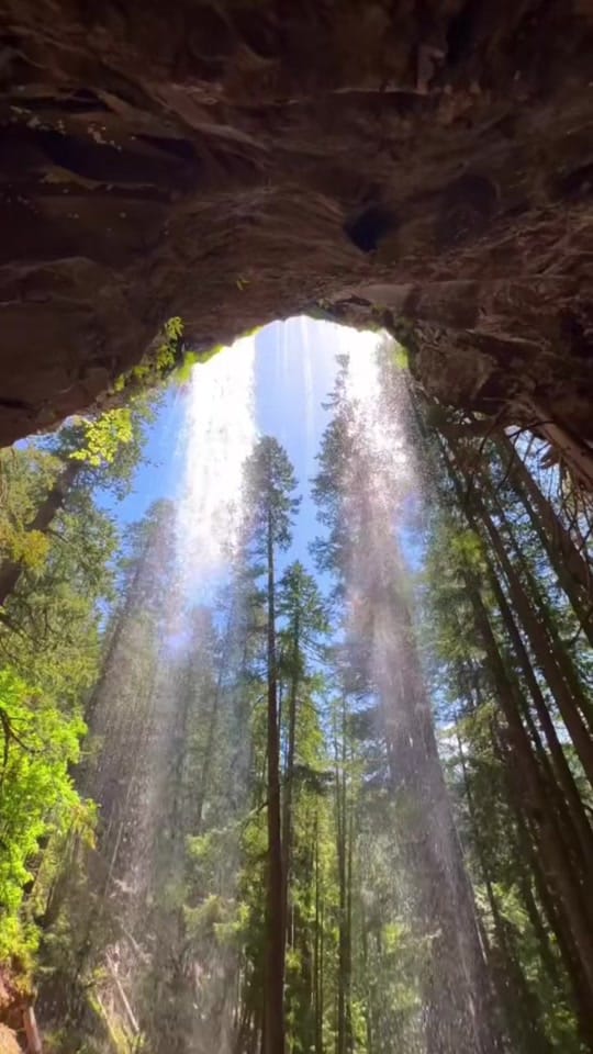 Post 3 by Namha Sekhri on TikTok (video)