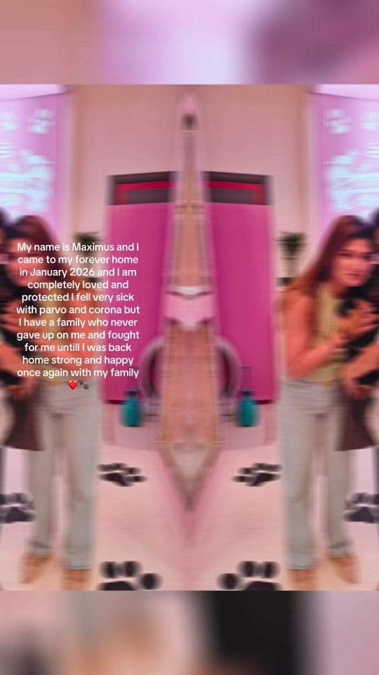 Post 4 by Namha Sekhri on TikTok (video)