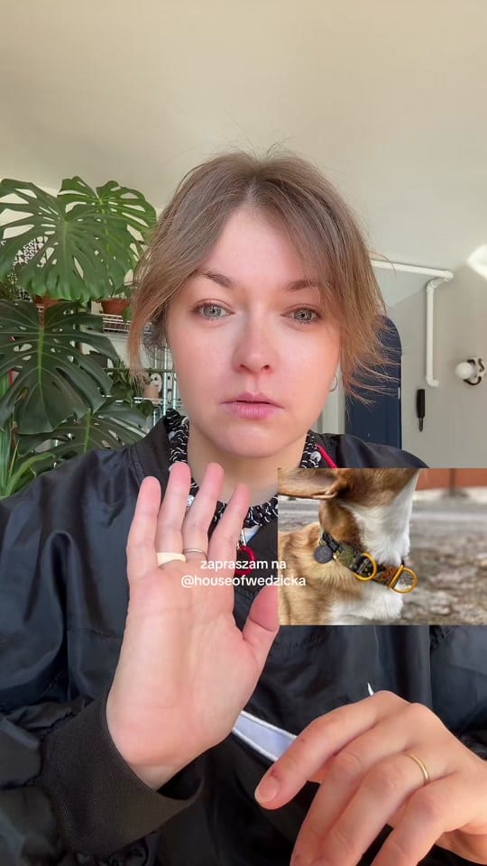 Post 1 by WEDZICKA on TikTok (video)