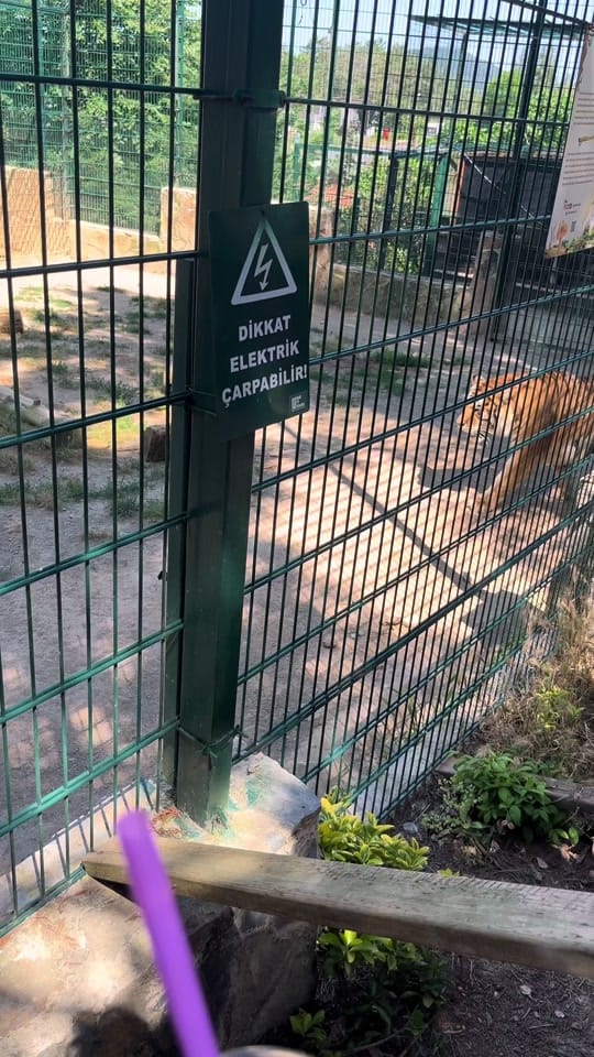 Post 7 by Art des on TikTok (video)