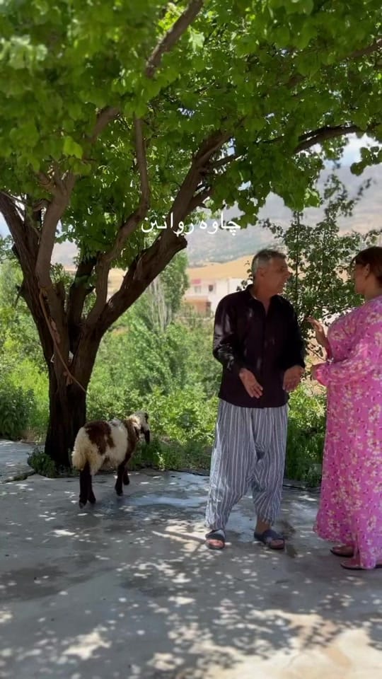 Post 3 by پەیجی  فەرمی   هونەر مەند  شنە on TikTok (video)