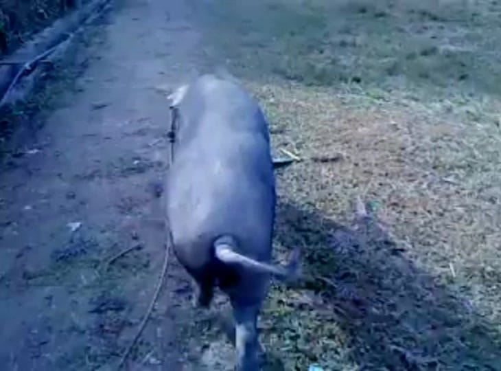 Post 6 by R.j bigpoper on TikTok (video)