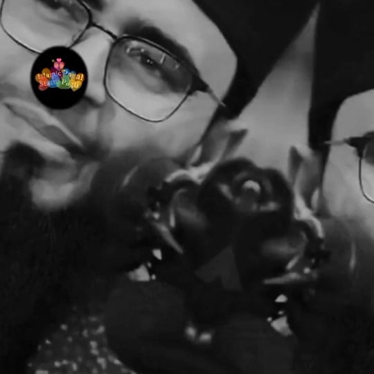 Post 10 by 💫 DIPU HASAN PCP💫 on TikTok (video)
