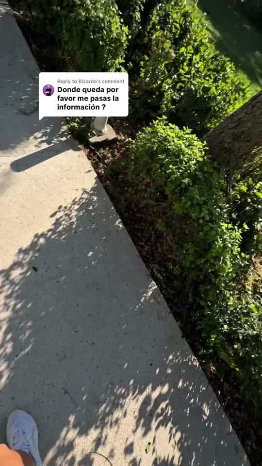 Post 5 by Cata Velásquez on TikTok (video)