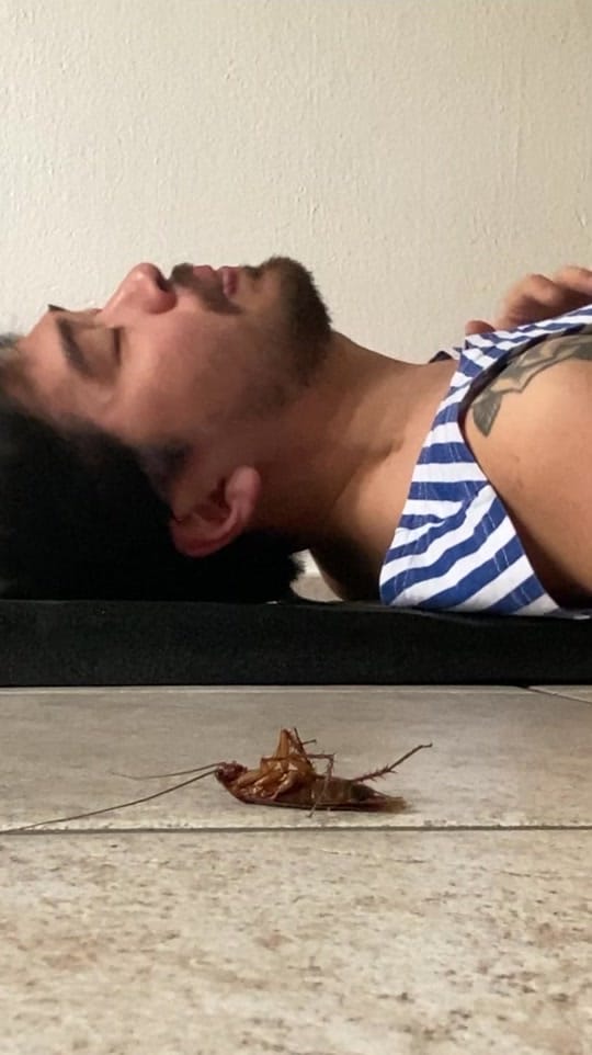 Post 4 by Asianboy_Bass on TikTok (video)