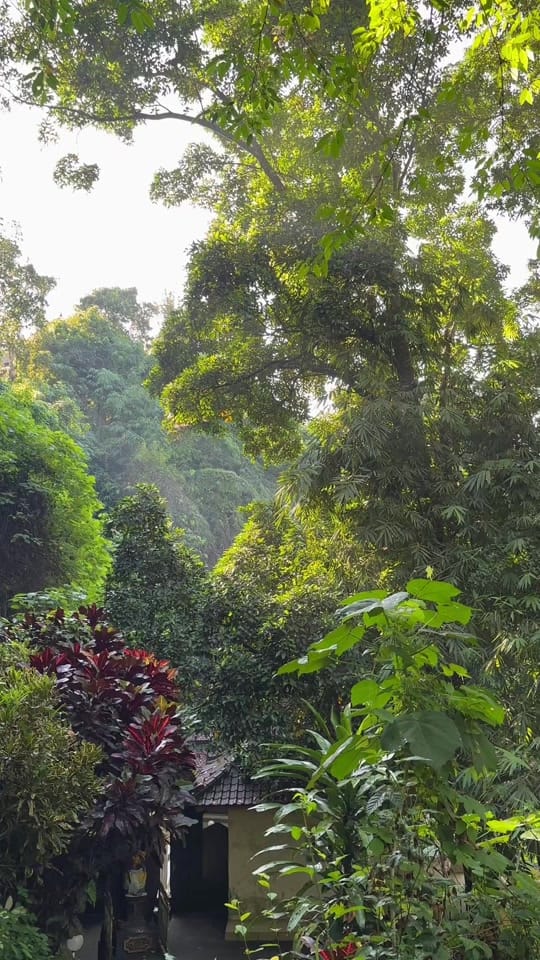 Post 5 by House Of Om on TikTok (video)