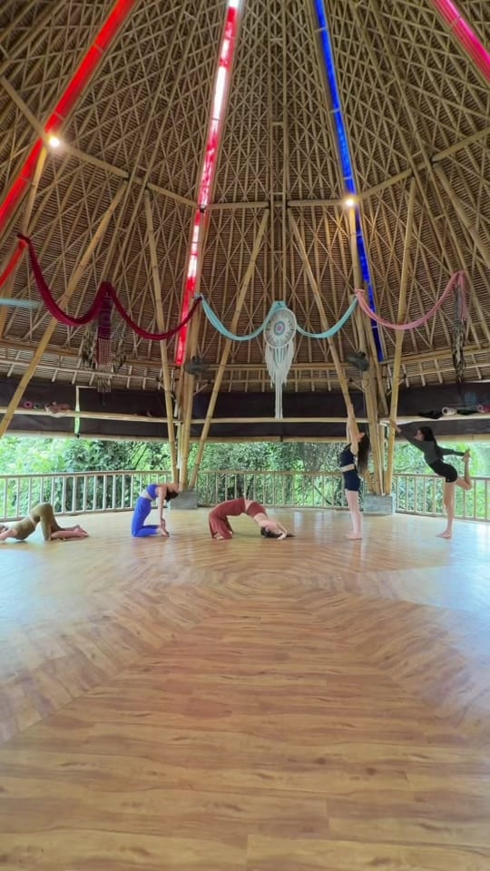 Post 2 by House Of Om on TikTok (video)