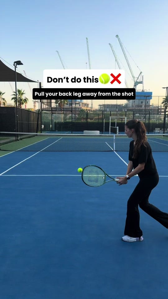 Post 4 by sashaklanecek on TikTok (video)
