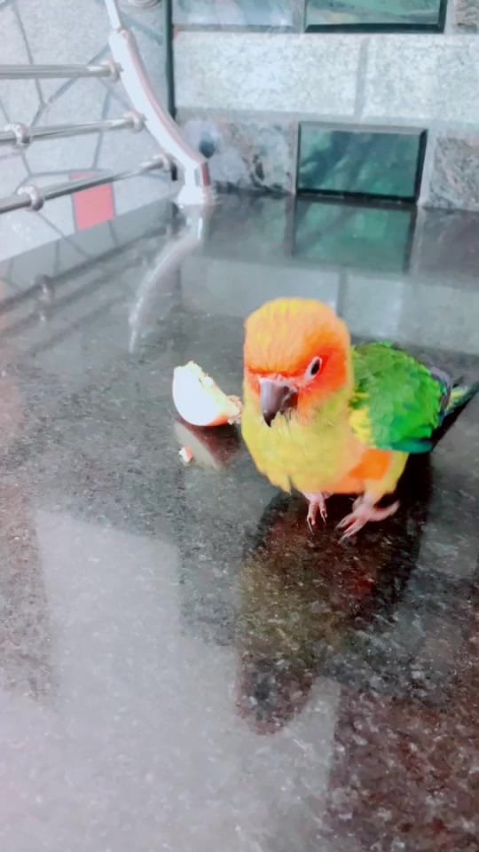 Post 9 by Ansab on TikTok (video)