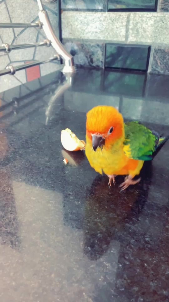 Post 10 by Ansab on TikTok (video)