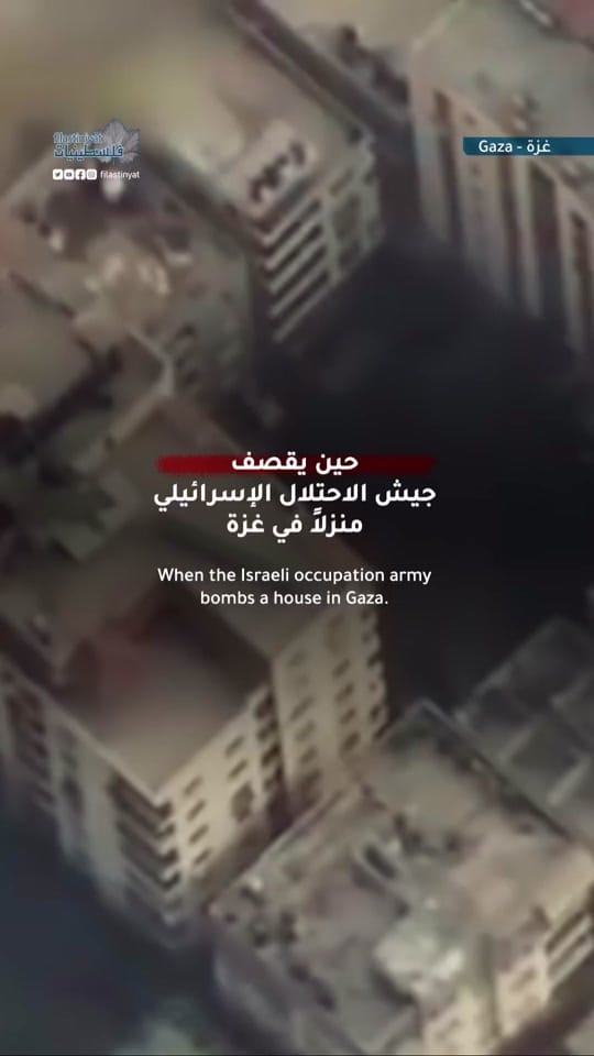 Post 10 by Alaa Issa on TikTok (video)