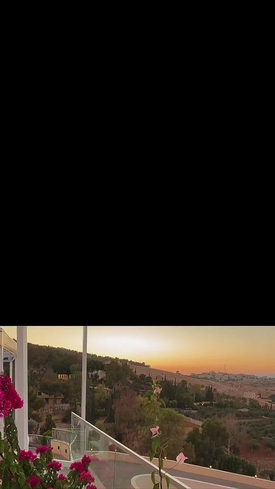 Post 2 by Alaa Issa on TikTok (video)