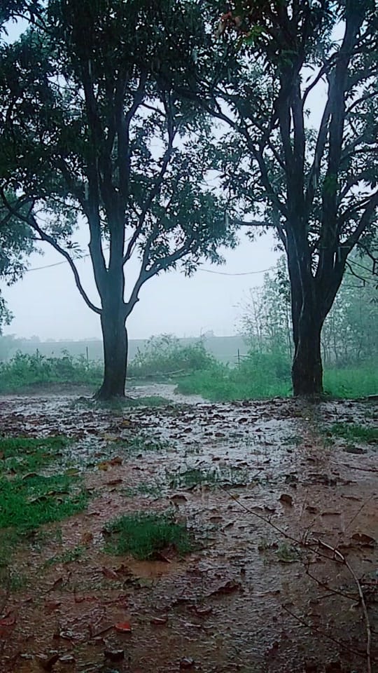 Post 1 by shalini chauhan on TikTok (video)