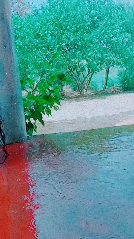 Post 10 by shalini chauhan on TikTok (video)