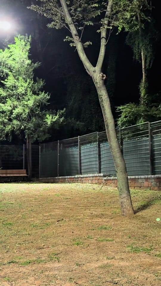 Post 7 by 레이지 on TikTok (video)