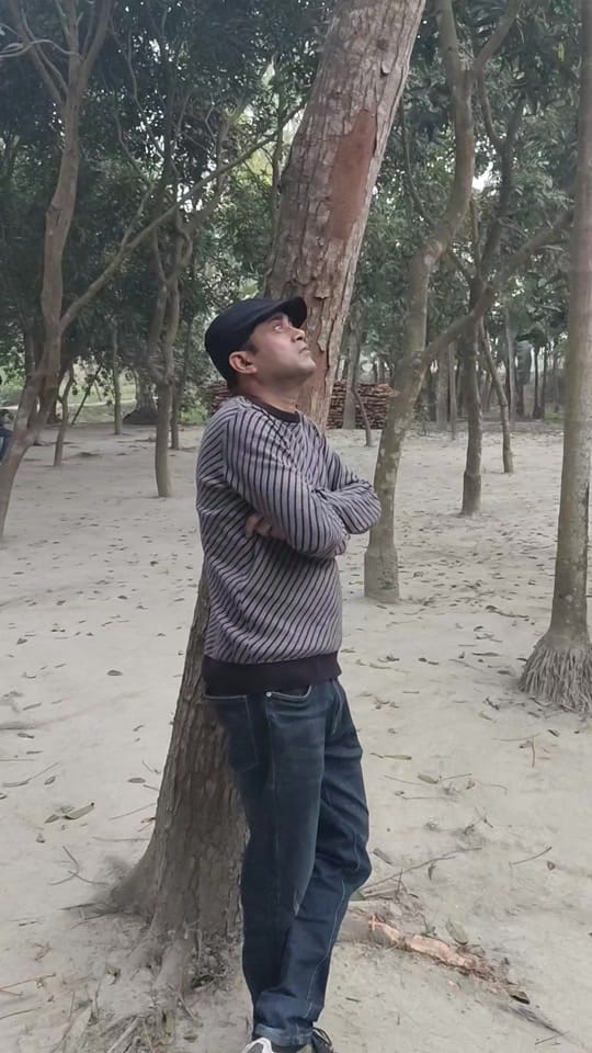 Post 5 by Akhomo hasan on TikTok (video)