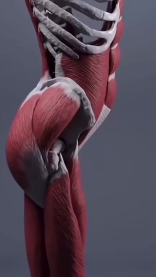 Post 3 by Soufyane Masaoudi on TikTok (video)