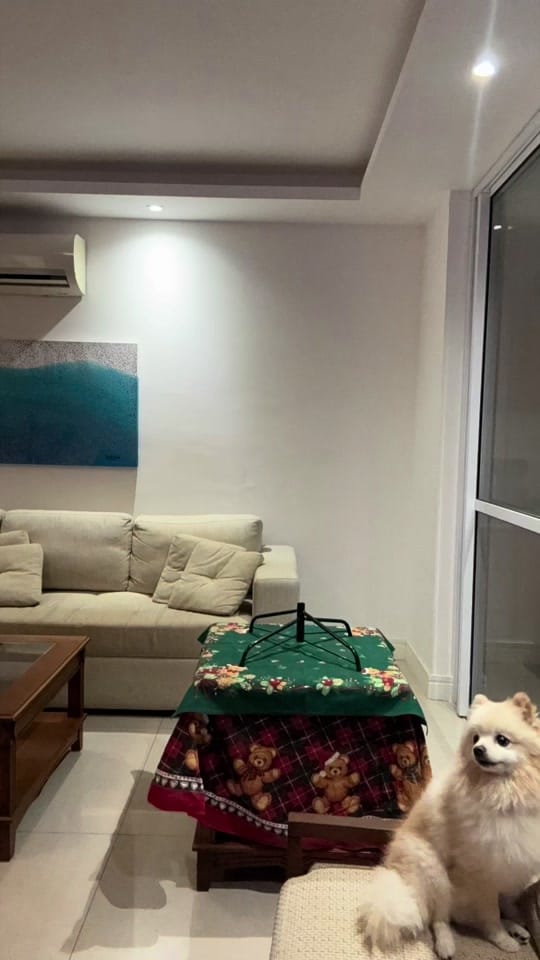 Post 3 by Juliana Paiva on TikTok (video)