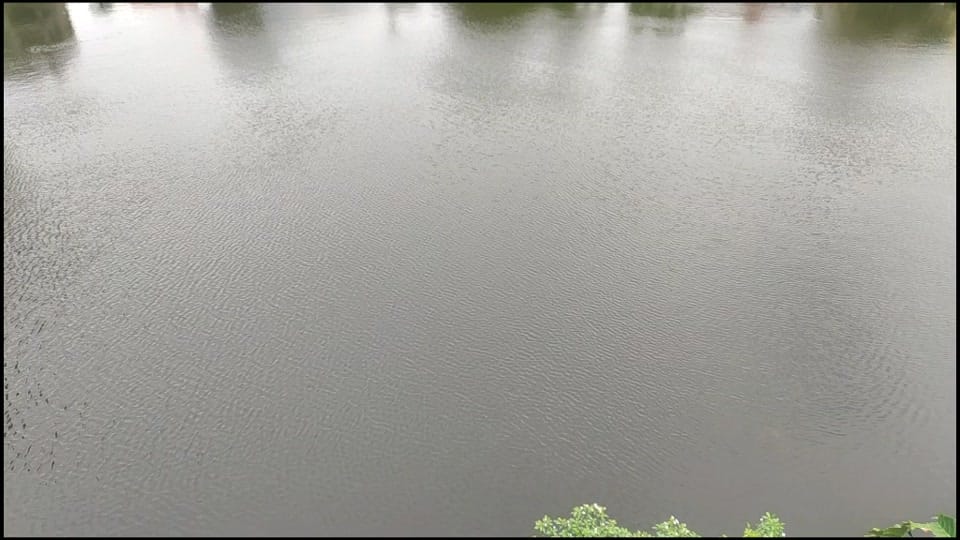 Post 7 by Misti Bhattacharjee on TikTok (video)