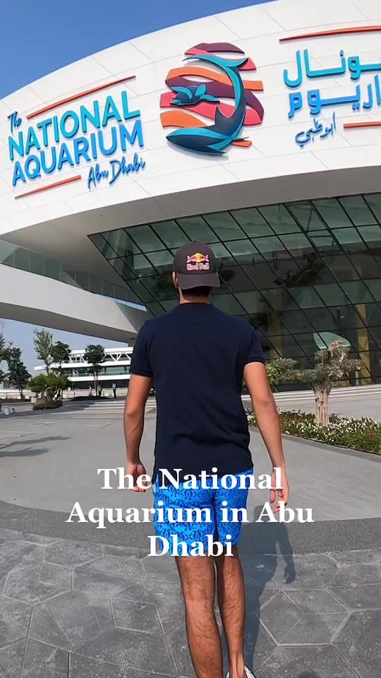 Post 4 by Omeir Saeed on TikTok (video)