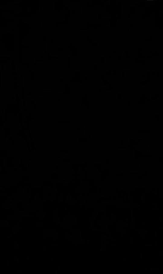Post 9 by Ingy Sweid on TikTok (video)