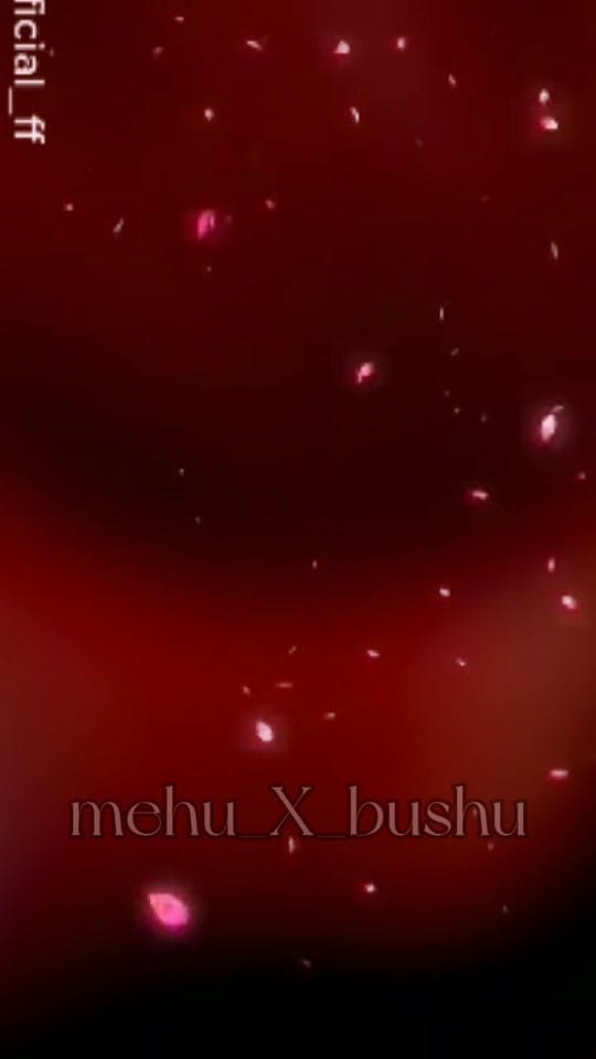 Post 2 by bushra on TikTok (video)