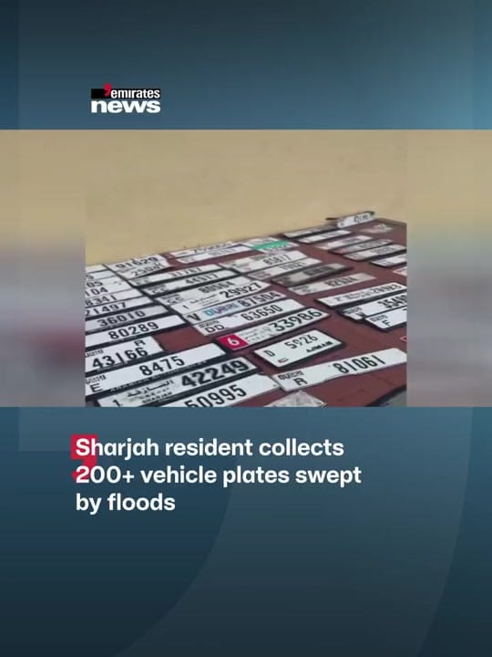 Post 2 by Saneeh Hasan on TikTok (video)