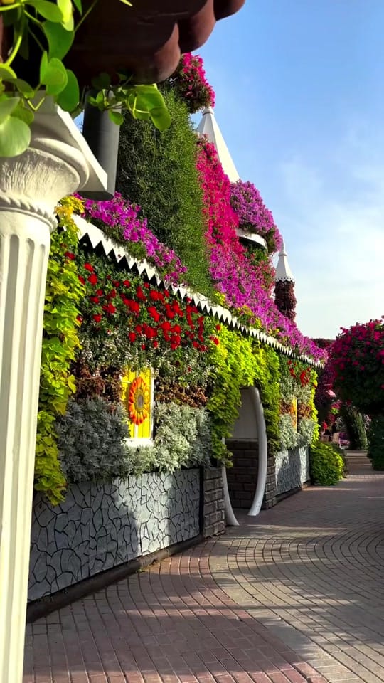 Post 5 by KRISH-DUBAI,UAE on TikTok (video)