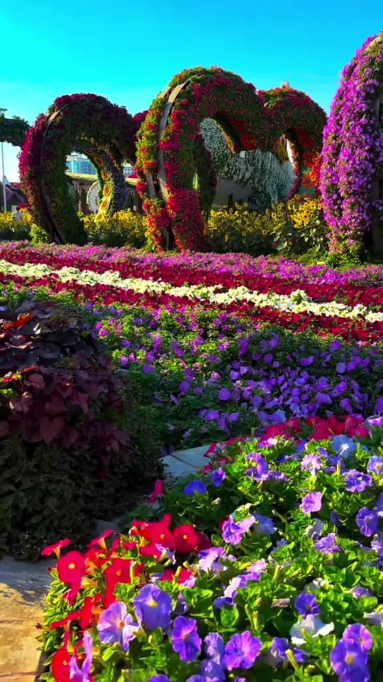 Post 6 by KRISH-DUBAI,UAE on TikTok (video)