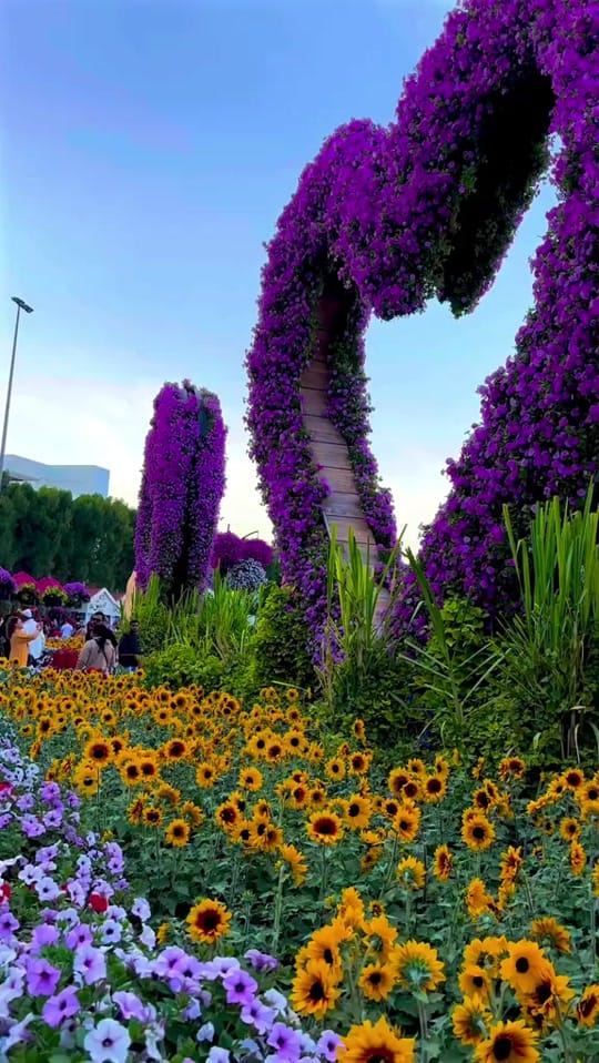 Post 7 by KRISH-DUBAI,UAE on TikTok (video)