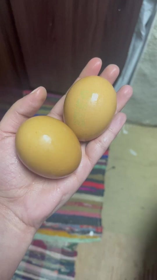 Post 5 by Reeba Mary George on TikTok (video)